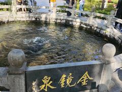 -鲁南仔·滕州炒鸡(经三路店)