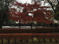-水前寺成趣园