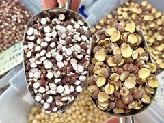 -鼎香皇高佬苏裹蒸粽