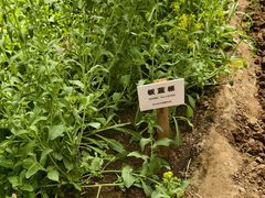 -天毓山庄·餐厅