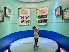 -上海昆虫博物馆