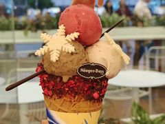 -哈根达斯(天河城店)