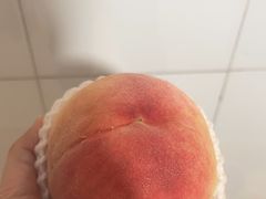 -老袁家蜜桃农场·阳山水蜜桃