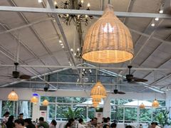 -芭厘农庄老字号·清远鸡