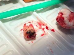 -上海市杨浦区牙病防治所