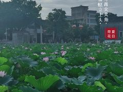-资政大夫祠