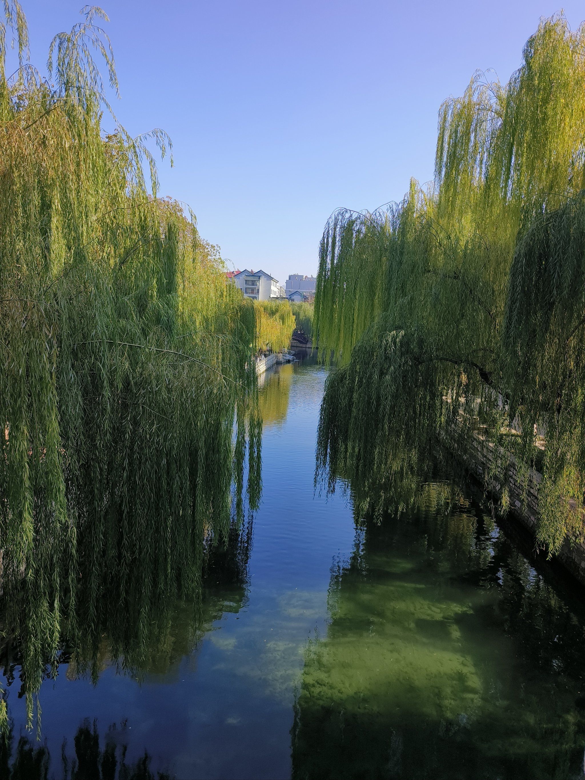 心静如水,身在画中游