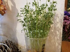 -饵块食光·云南有机手作饵块