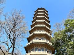 -灵谷景区