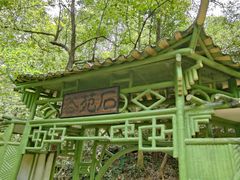 -大奇山国家森林公园