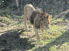 -石家庄市动物园