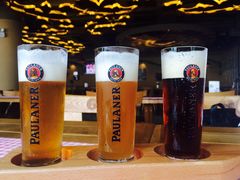-Paulaner·德国帕拉娜自酿啤酒餐厅(海上世界店)