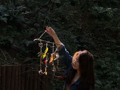 -紫金山山顶公园