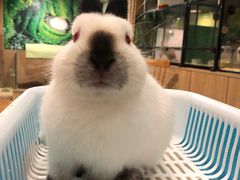 -藦茜花园宠物主题亲子互动体验馆(国顺东路店)