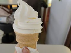 -麦当劳(上海虹桥站30B检票口楼上)