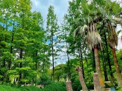 -苏州河梦清园环保主题公园