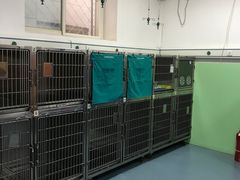 -美联众合动物医院·内科·皮肤科·外科(古城分院)
