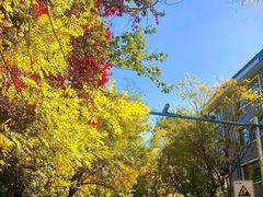 -天津五大道文化旅游区