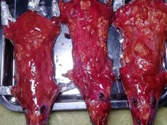 -阿鸟农庄(石壁店)