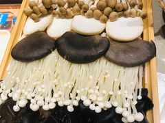-蝎王府羊蝎子(西直门店)