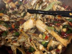 子姜蛙-呱呱兔庄