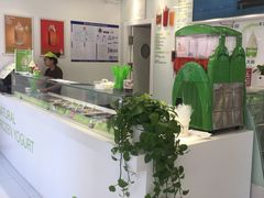 -Salud撒露欧洲冻酸奶(798艺术区店)