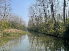 -溱湖国家湿地公园