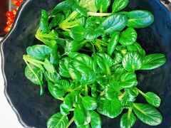 -东椰·海南椰子鸡火锅(朝阳门店)