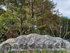 -东明山森林公园