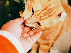 -平行世界·猫咖(首经贸店)