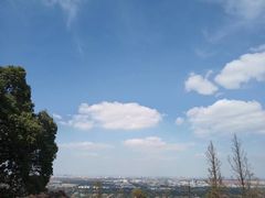 -上海佘山国家森林公园西佘山园