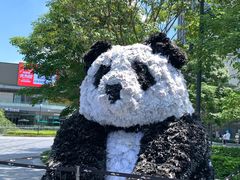 -东莞松山湖万象汇