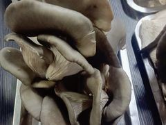 -金宝生活市场(东五环店)