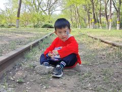 -永定河休闲森林公园