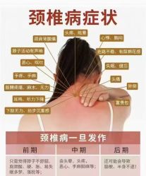 -香薇妮丝·定制减肥·身材管理