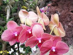 -南通洲际绿博园