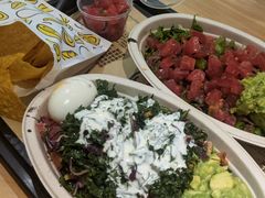 -油梨树 AVOCADO TREE(亮马桥店)