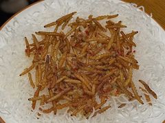 -苗姑酒堂(仁义社区店)