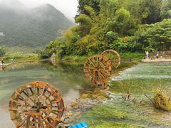 -靖西鹅泉风景区