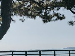 -青岛第三海水浴场