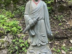 -王顺山国家森林公园