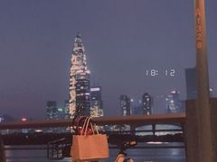 -深圳湾公园(南山区)