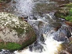 -汤旺河林海奇石景区