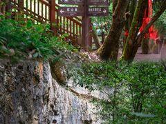 -光雾山旅游景区