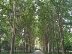 -河南省黄河迎宾馆