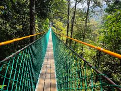 -云南屏边大围山国家公园