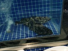 -碧海银沙海鲜餐厅(恒大海上威尼斯店)