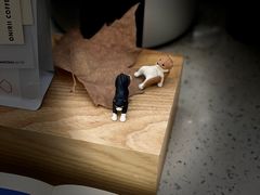 -Onirii Coffee(长乐路店)