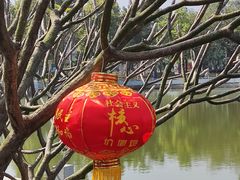 -长洲岛