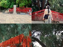-四门塔风景区